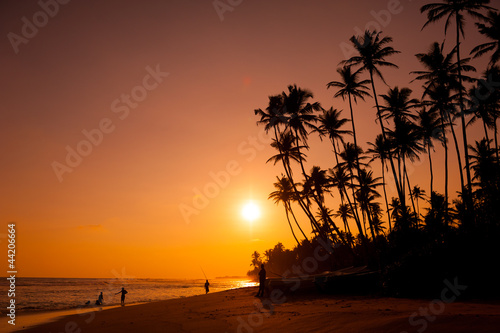 Beautiful tropical sunset