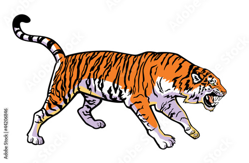 Fototapeta Naklejka Na Ścianę i Meble -  attacking tiger