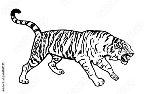 Fototapeta Naklejka Na Ścianę i Meble -  attacking tiger black and white