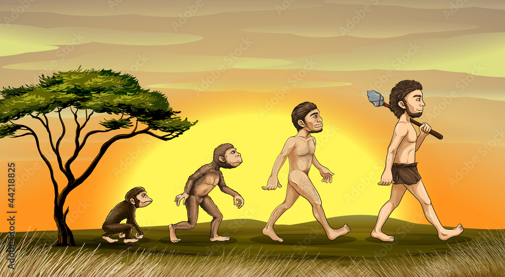 Fototapeta premium evolution of man