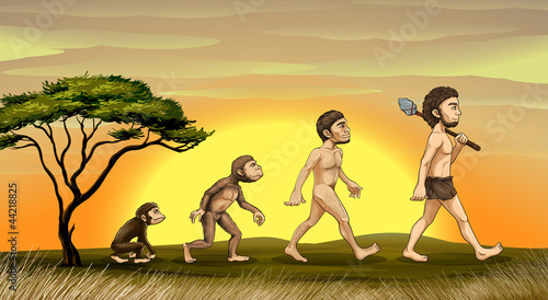 evolution of man