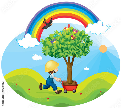 boy carrying tree