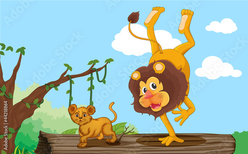 a lion and cub