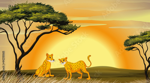 a leopard under tree