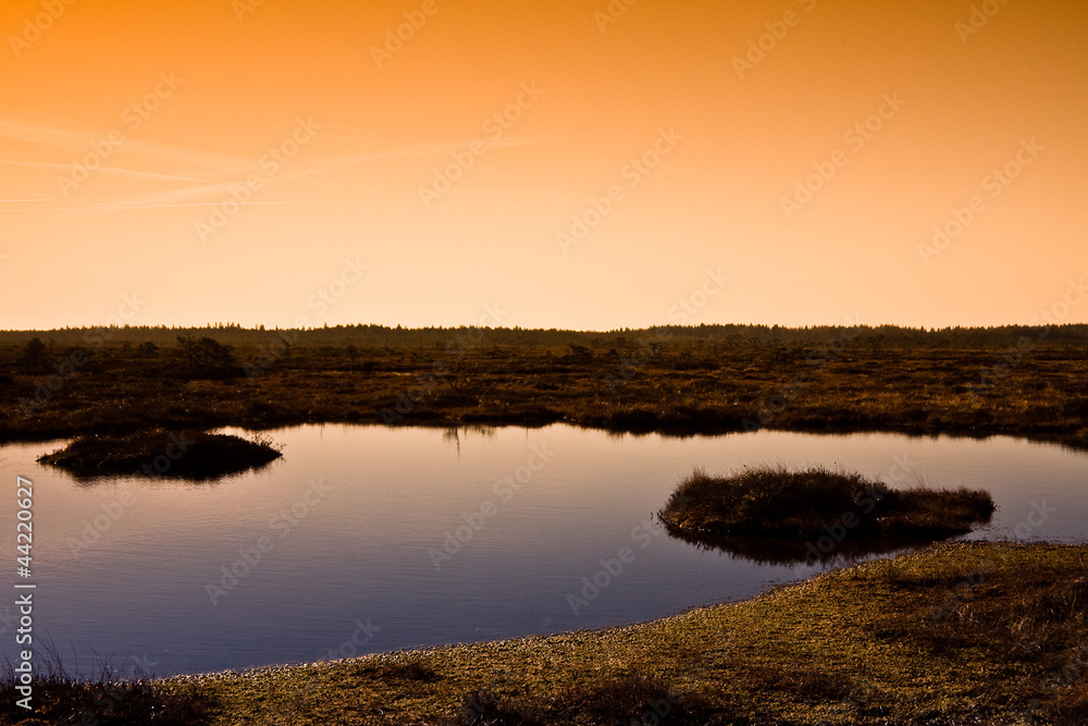 Marsh landscape in Estonia with lakes and small islands in it.