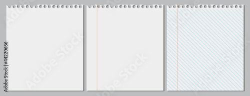 Pieces of paper