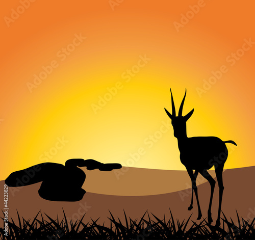 Antelope on a background of sunset