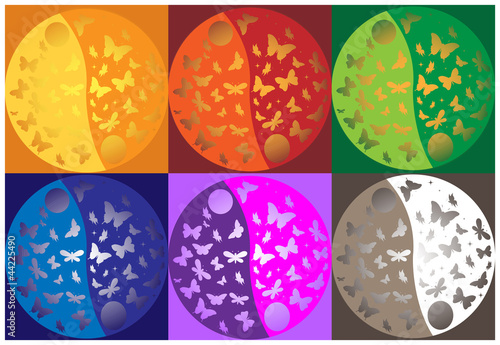 Yin Yang color butterflies