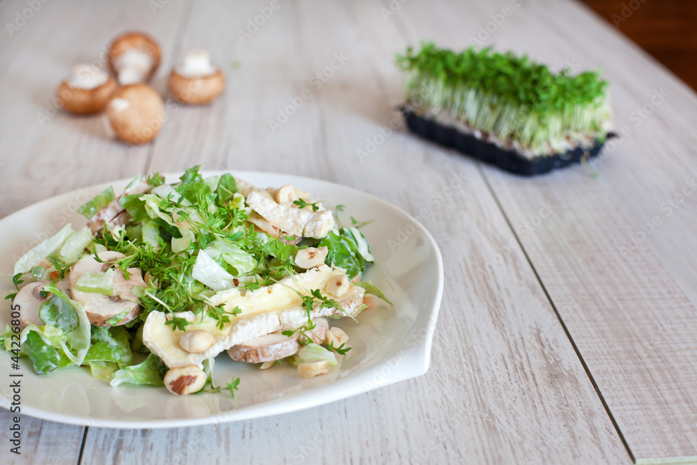 salad with mushroom and cress salad with mushroom and cress