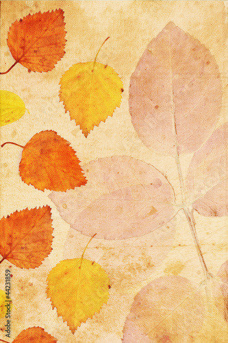 Beautiful vintage background with autumnal leaves