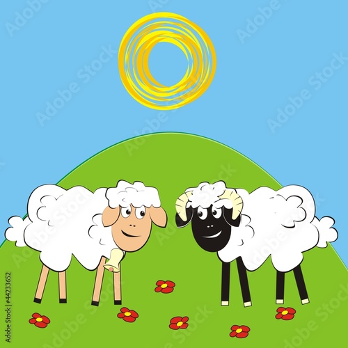 sheep and ram