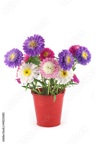 Bouquet of asters in a bucket