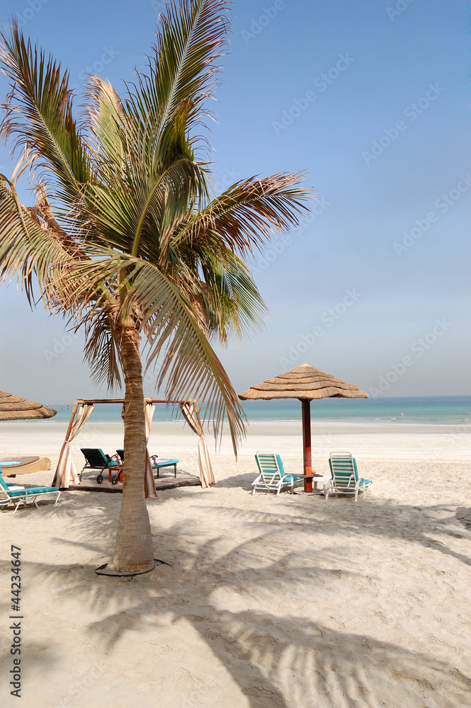 Beach of the luxury hotel, Ajman, UAE