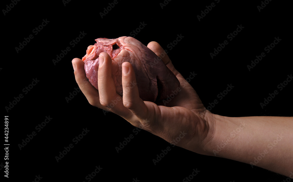 Heart in the hand