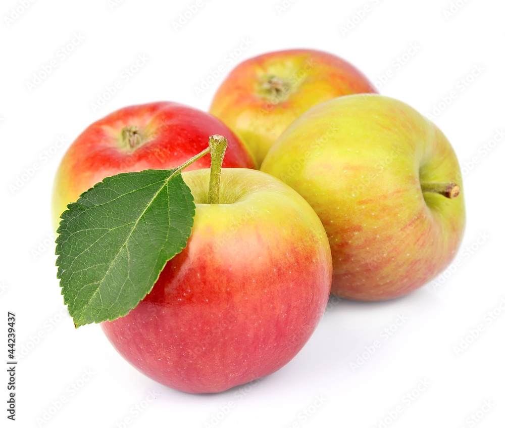 summer apple fruits summer apple fruits