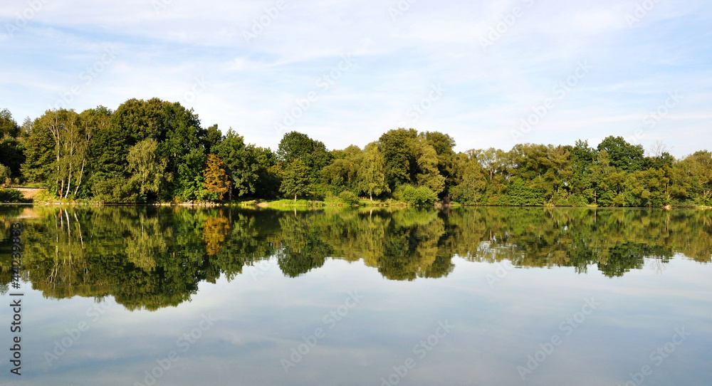 Reflection Reflection