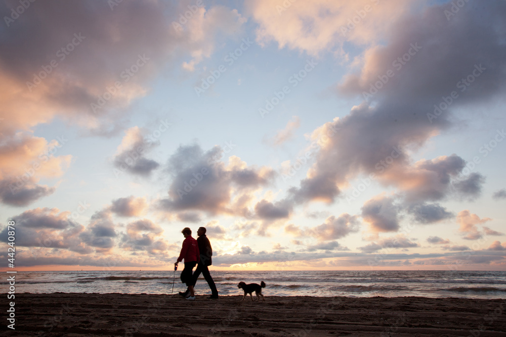 couple walking the dog on the beach