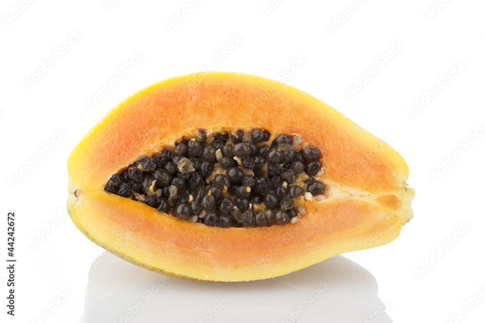 Papaya on White Papaya on White