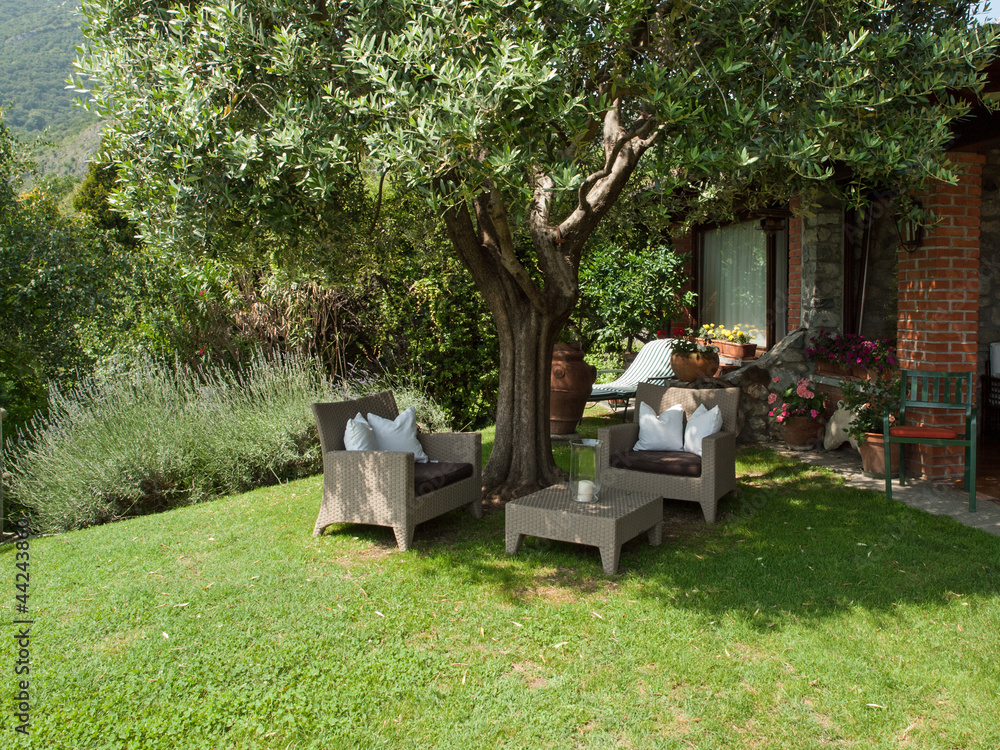 Garden sofa under the olive tree in mediterranean garden Garden sofa under the olive tree in mediterranean garden