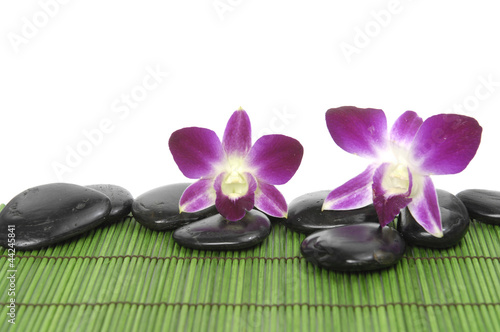Two pink orchid with stones on green mat