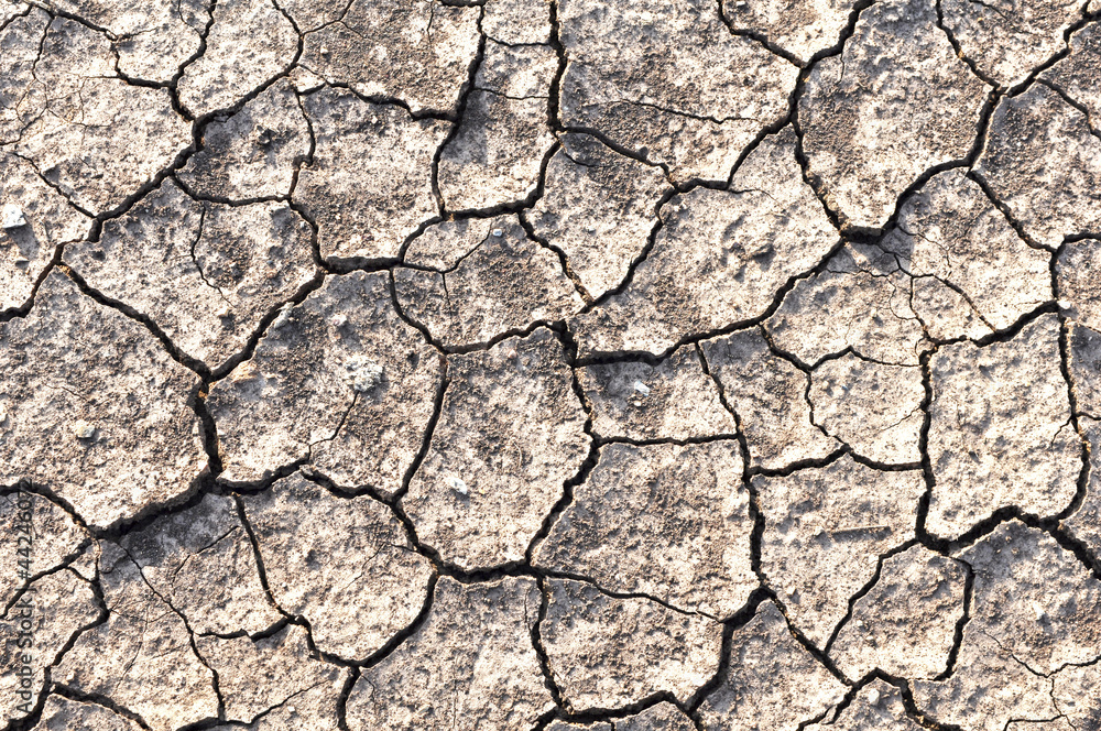 details of Dry cracked soil