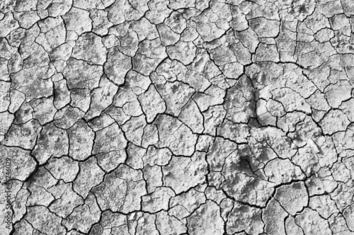 details of Dry cracked soil