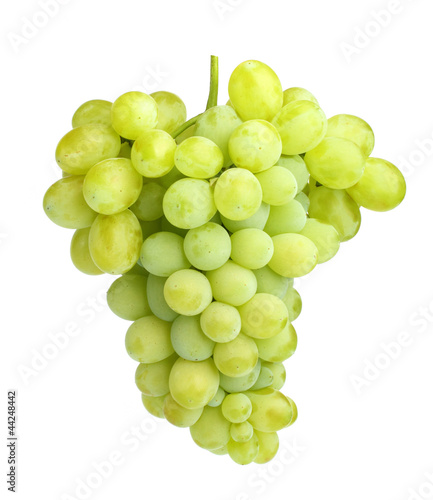 white grapes isolated on white