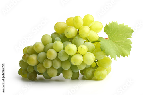white grapes on white