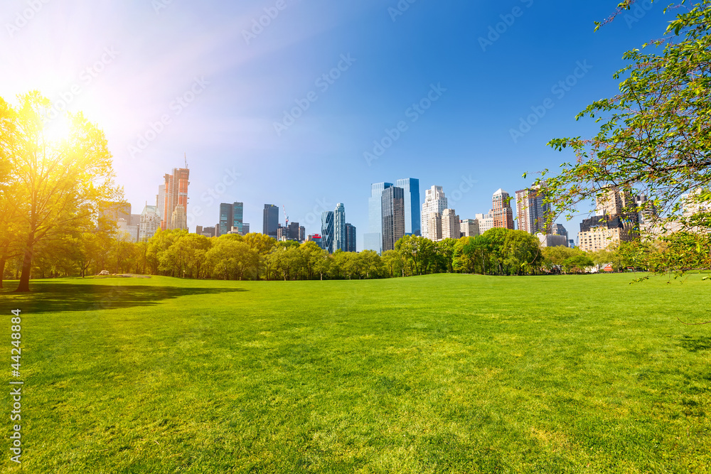 Obraz premium Centralny park w słoneczny dzień