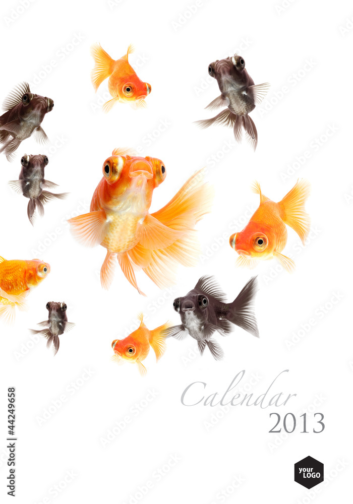 Fototapeta premium 2013 Calendar vertical ,Goldfish lover concept , cover page