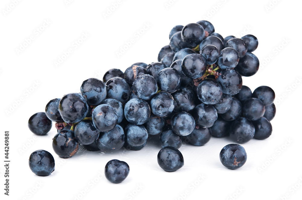 fresh blue grapes fresh blue grapes