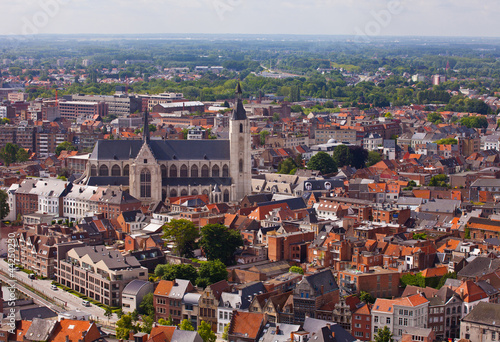 View of the city of Malines (Mechelen)