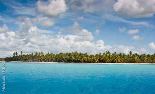 Beautiful tropical beach with palm trees © Igor Dmitriev