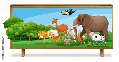 Animals in jungle on board