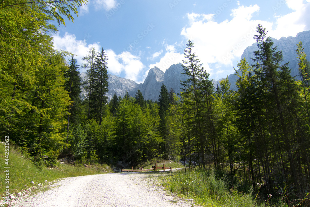 Mountain Mountain