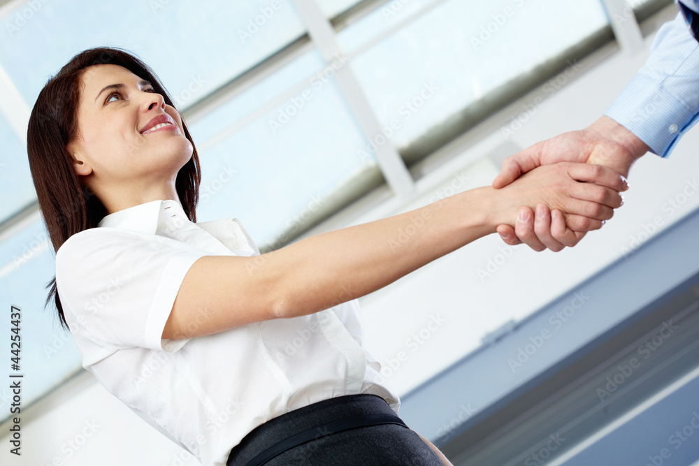 Formal handshake Formal handshake
