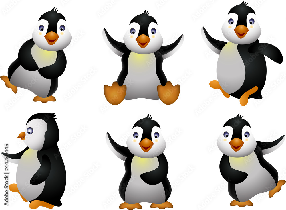 Naklejka premium young penguin set character