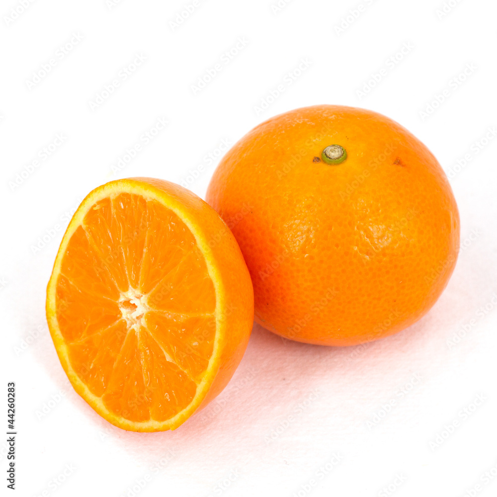 Biopsy of the orange in white background Biopsy of the orange in white background