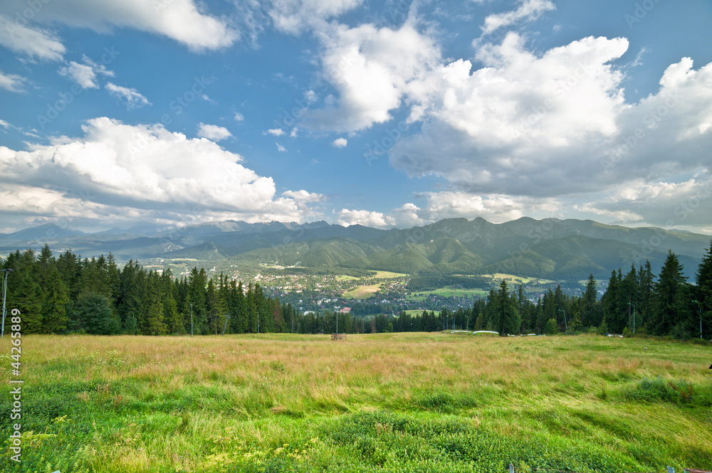 Green panorama in the mountain