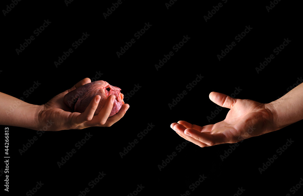 Heart in the hand