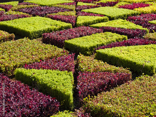 botanical garden