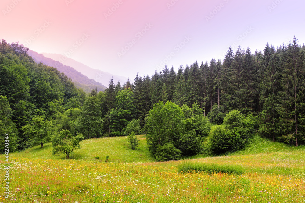 Obraz premium Carpathians