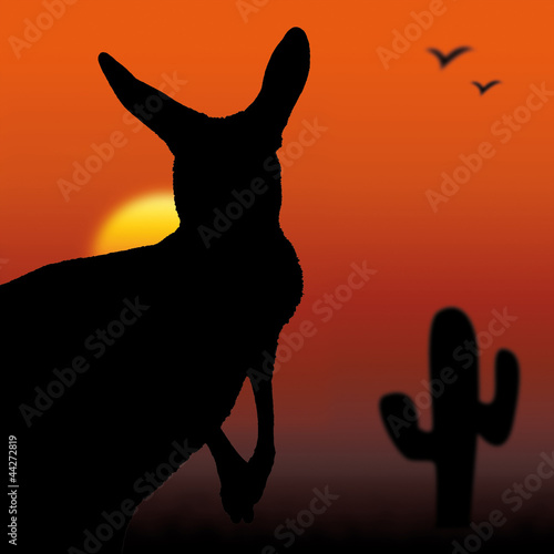 kangourou, australie, emblème, animal, ombre, désert,