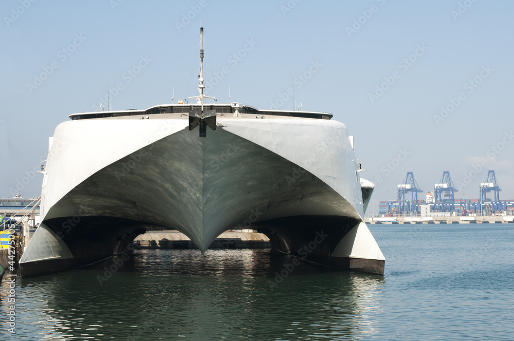 Naklejka premium Ferryboat