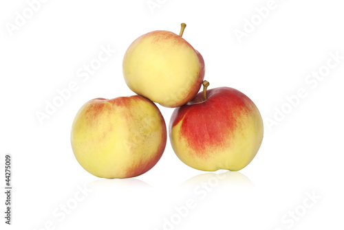 The fresh red apple over white backgrounds