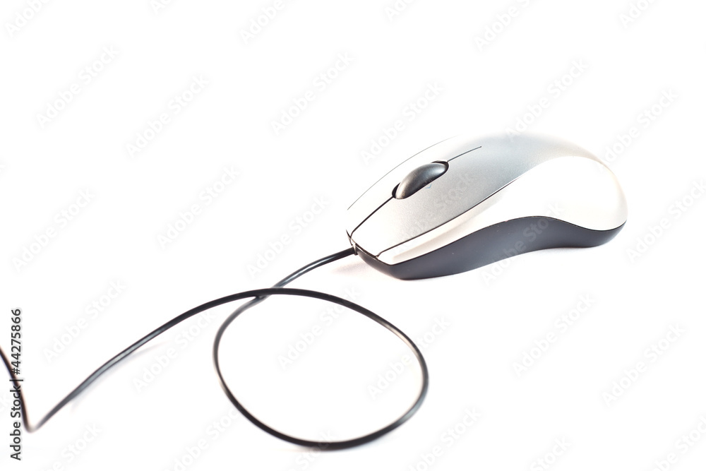 mouse on isolate background