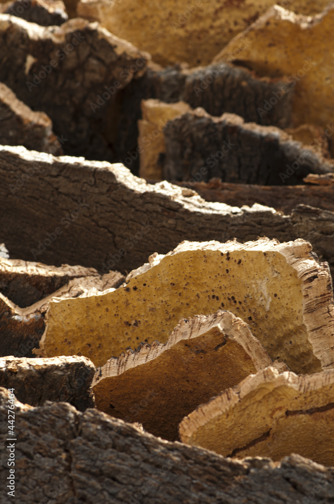 Cork crust Cork crust
