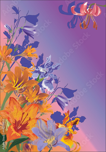 Fototapeta Naklejka Na Ścianę i Meble -  orange and violet flowers illustration