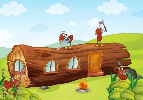 ants and wooden house