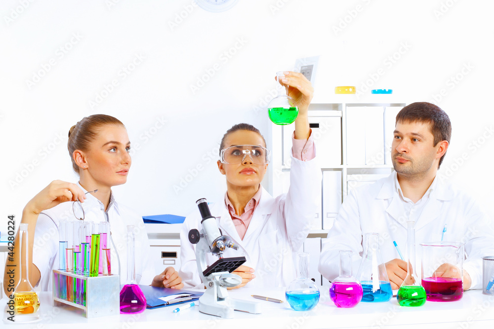 Fototapeta premium Team of scientists working in laboratory
